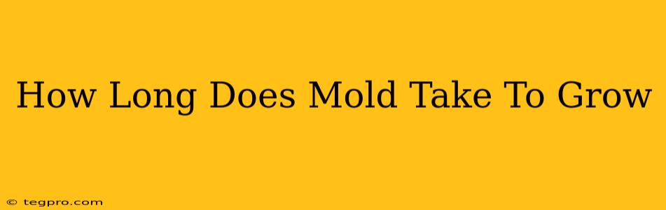 How Long Does Mold Take To Grow