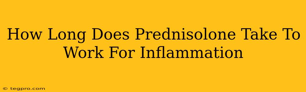 How Long Does Prednisolone Take To Work For Inflammation