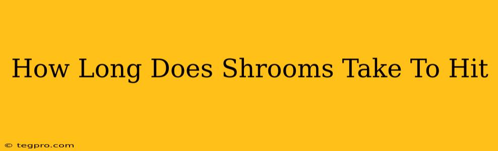 How Long Does Shrooms Take To Hit