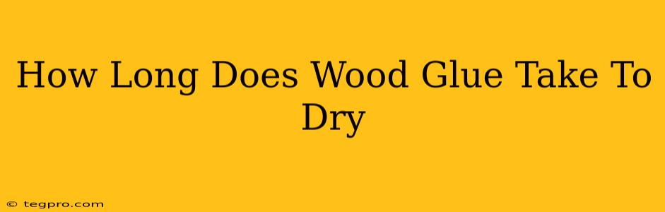 How Long Does Wood Glue Take To Dry