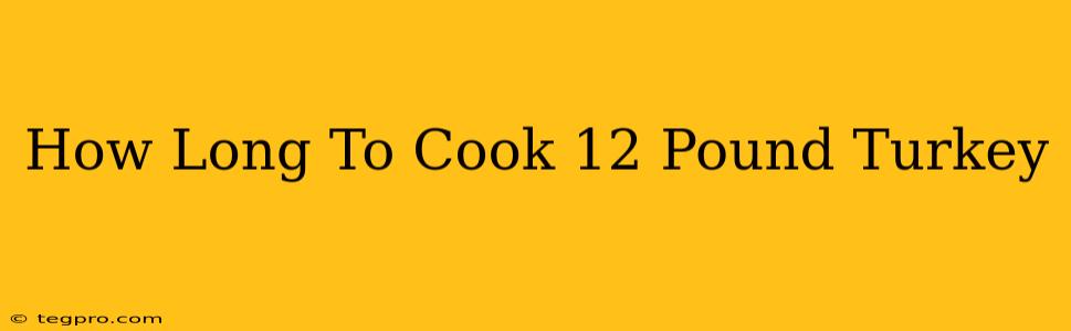 How Long To Cook 12 Pound Turkey