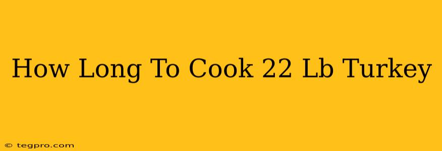 How Long To Cook 22 Lb Turkey