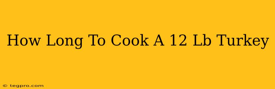 How Long To Cook A 12 Lb Turkey