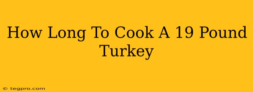 How Long To Cook A 19 Pound Turkey