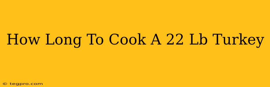 How Long To Cook A 22 Lb Turkey