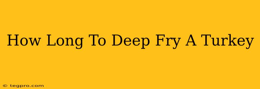 How Long To Deep Fry A Turkey