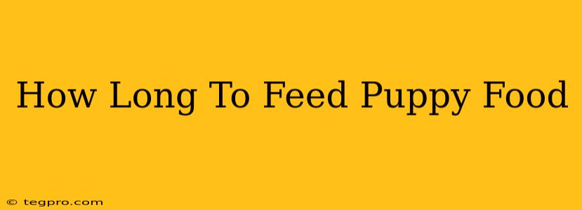 How Long To Feed Puppy Food