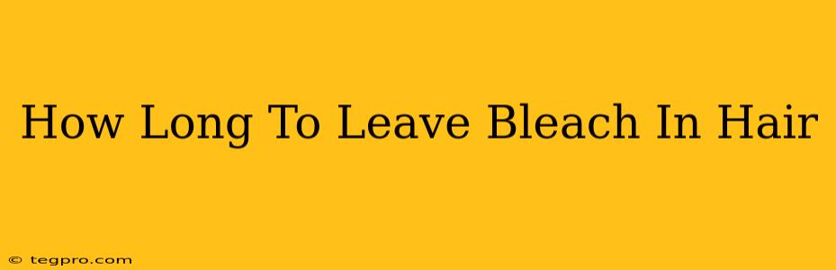 How Long To Leave Bleach In Hair