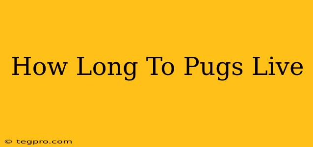 How Long To Pugs Live