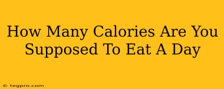 How Many Calories Are You Supposed To Eat A Day