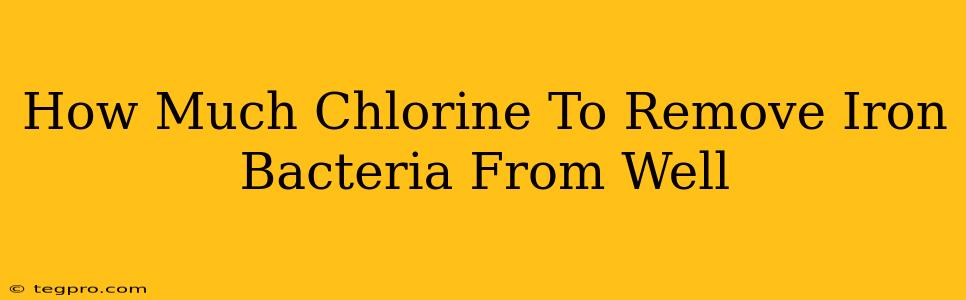 How Much Chlorine To Remove Iron Bacteria From Well