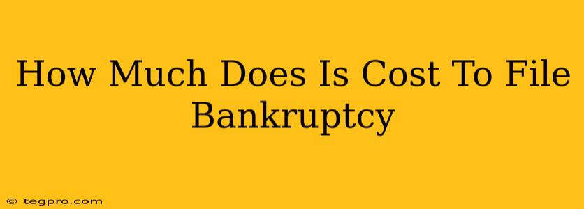 How Much Does Is Cost To File Bankruptcy