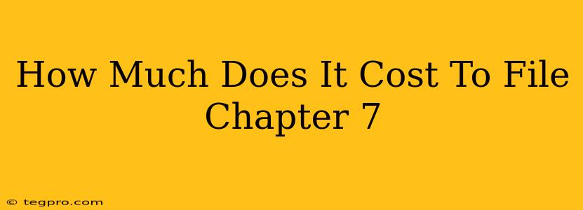 How Much Does It Cost To File Chapter 7