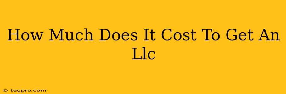 How Much Does It Cost To Get An Llc