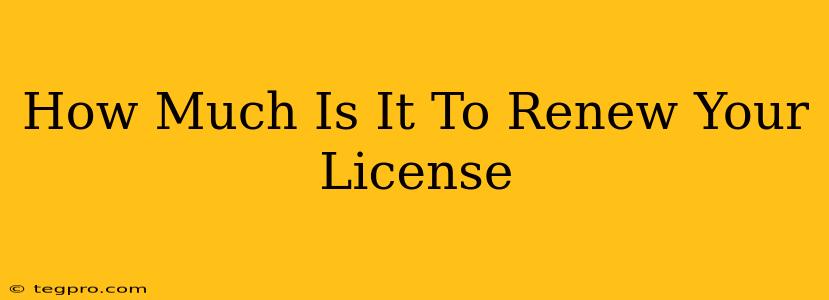 How Much Is It To Renew Your License