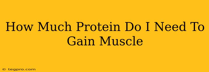 How Much Protein Do I Need To Gain Muscle