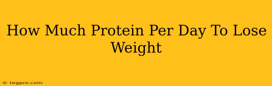 How Much Protein Per Day To Lose Weight