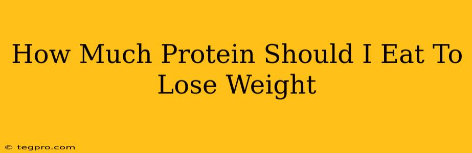 How Much Protein Should I Eat To Lose Weight