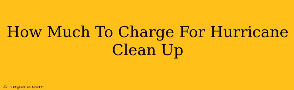 How Much To Charge For Hurricane Clean Up