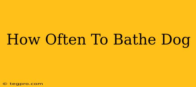 How Often To Bathe Dog