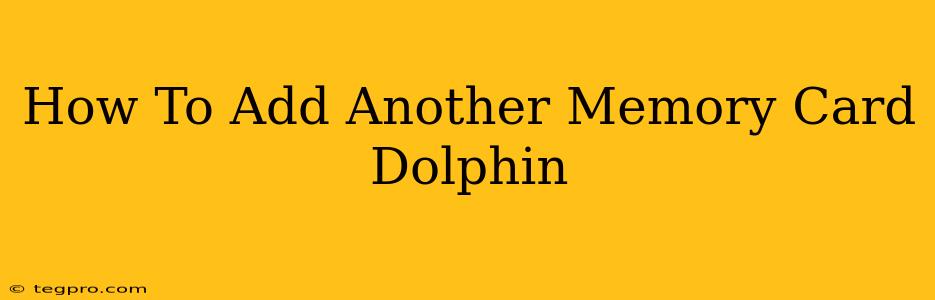 How To Add Another Memory Card Dolphin