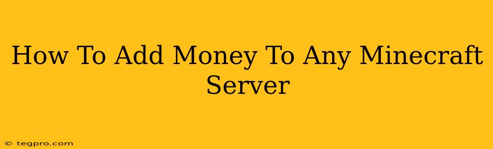 How To Add Money To Any Minecraft Server