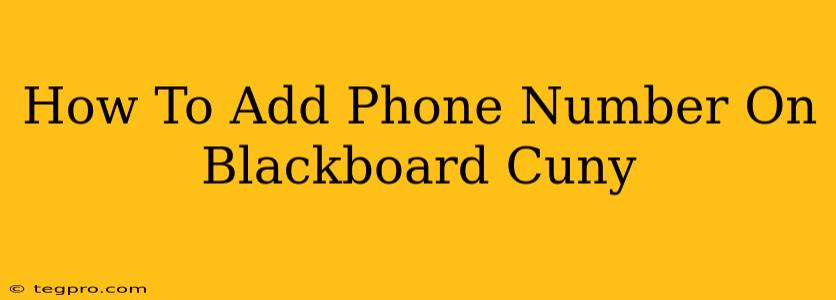 How To Add Phone Number On Blackboard Cuny