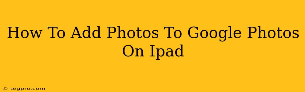 How To Add Photos To Google Photos On Ipad