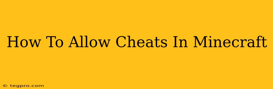 How To Allow Cheats In Minecraft