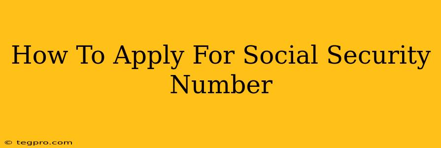 How To Apply For Social Security Number