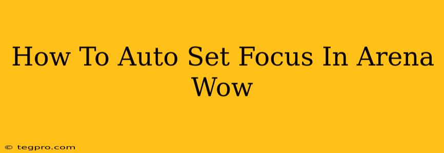 How To Auto Set Focus In Arena Wow