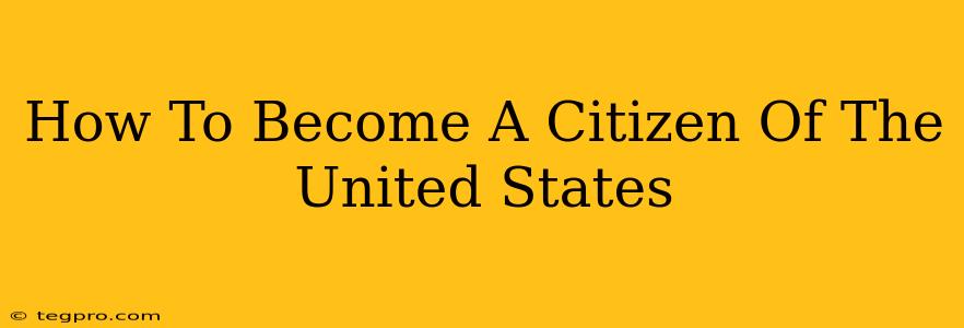 How To Become A Citizen Of The United States