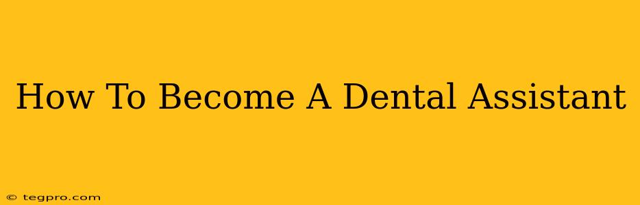 How To Become A Dental Assistant