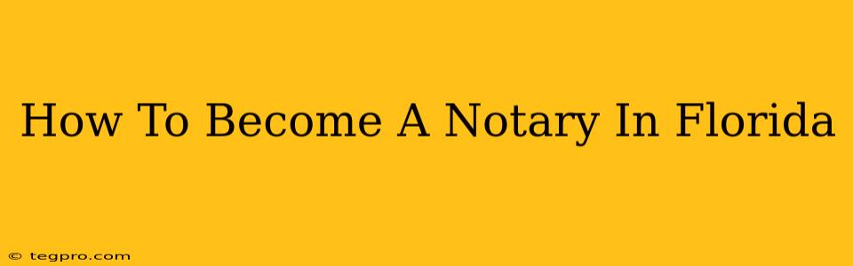 How To Become A Notary In Florida