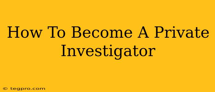 How To Become A Private Investigator