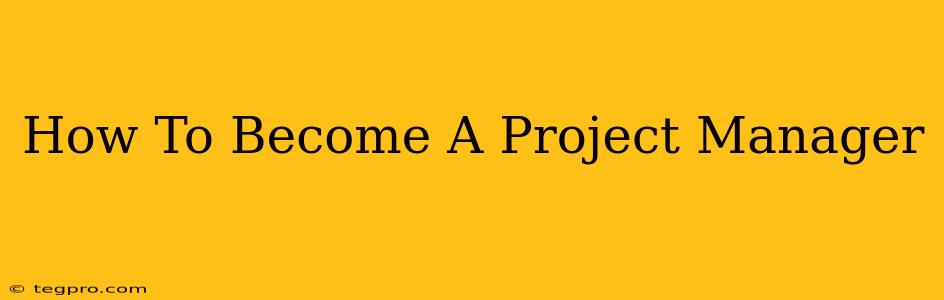 How To Become A Project Manager