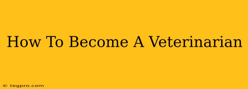 How To Become A Veterinarian