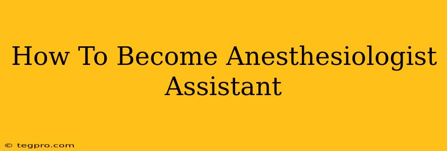 How To Become Anesthesiologist Assistant