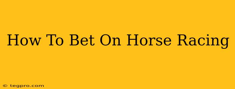 How To Bet On Horse Racing