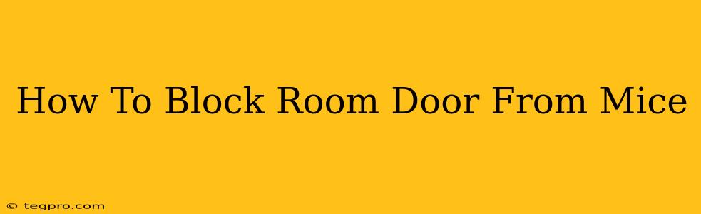 How To Block Room Door From Mice