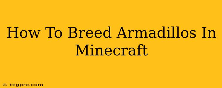 How To Breed Armadillos In Minecraft