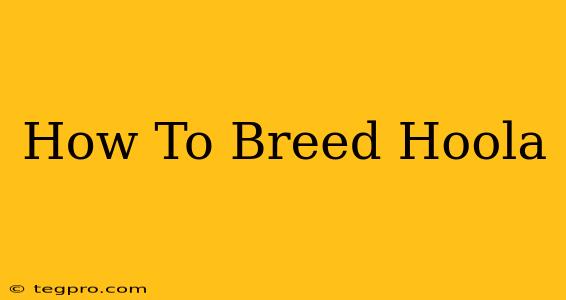 How To Breed Hoola