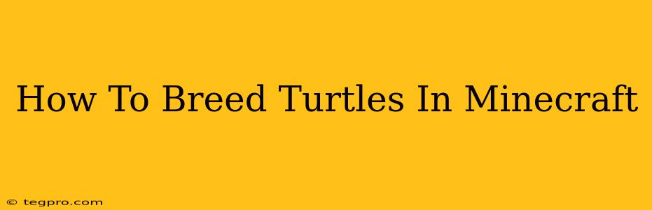 How To Breed Turtles In Minecraft