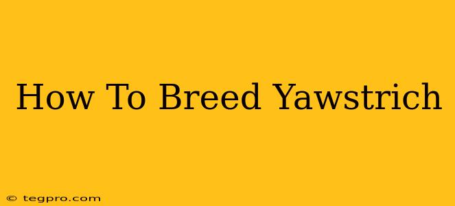 How To Breed Yawstrich