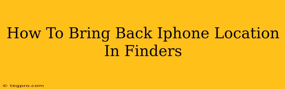 How To Bring Back Iphone Location In Finders