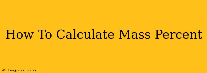 How To Calculate Mass Percent