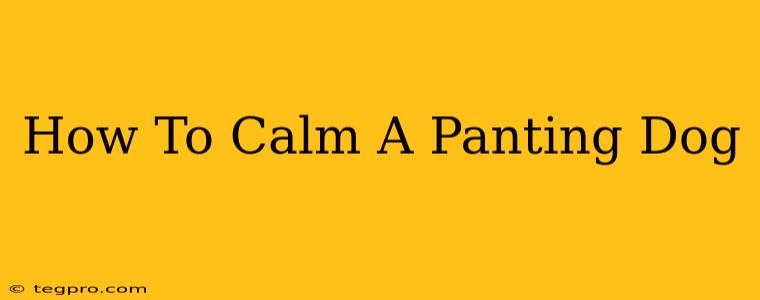 How To Calm A Panting Dog