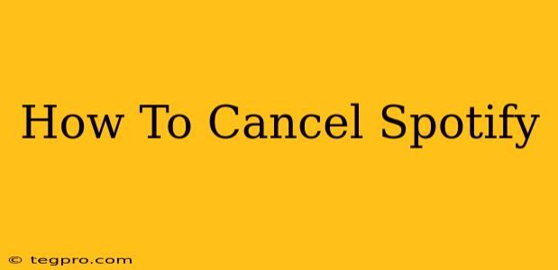 How To Cancel Spotify