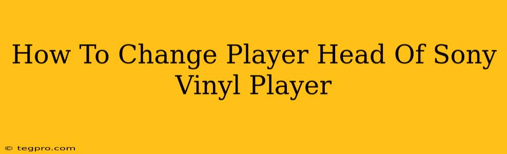 How To Change Player Head Of Sony Vinyl Player