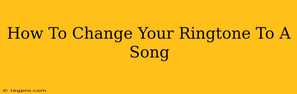 How To Change Your Ringtone To A Song